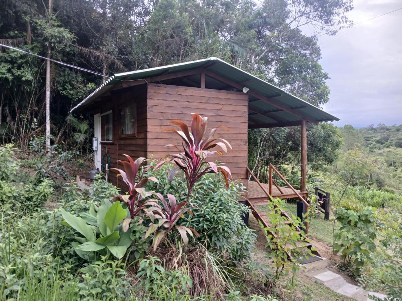Cabana Manaca Da Serra Морретис Экстерьер фото